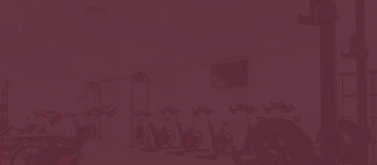 Tips Diet Sehat untuk Pemula